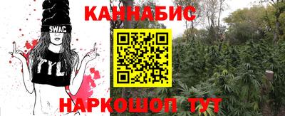 гидра Ливны