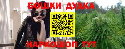 гидра Ливны
