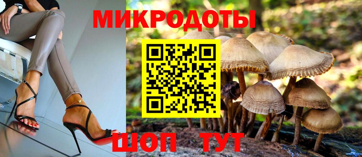Псилоцибиновые грибы Psilocybine cubensis Иваново