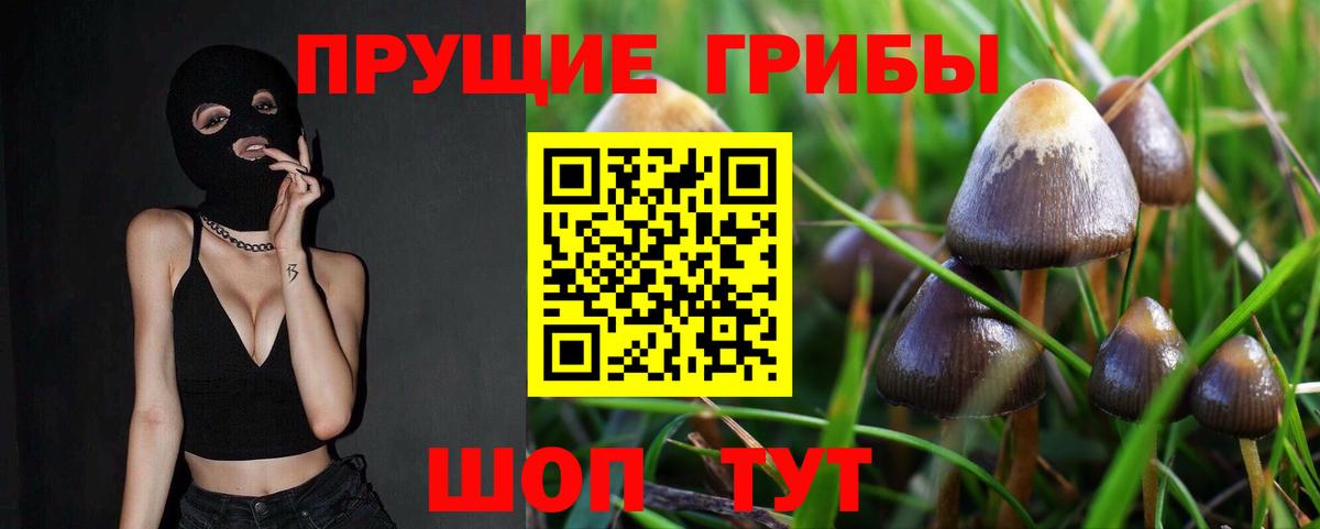 Иваново  Псилоцибиновые грибы ЛСД  Вход с VPN 